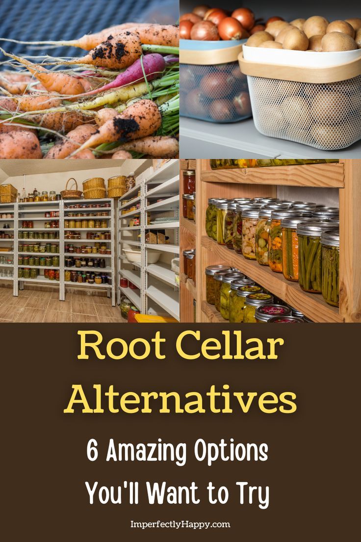 the cover of root cellar alternatives 6 amazing options you'll want to try