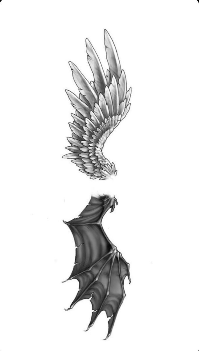 a black and white drawing of a winged bird