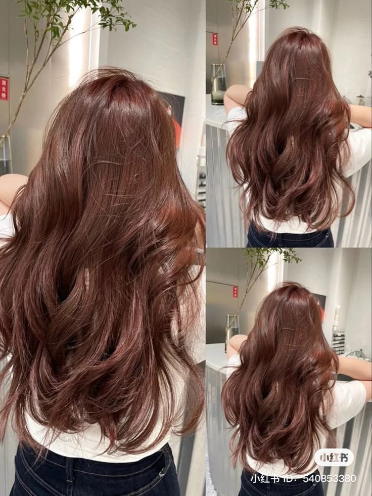 Cherry Brown Hair, Hair Color Mahogany, Mahogany Hair, Hair Color Asian, Cinnamon Hair, Korean Hair Color, Brown Hair Looks, Brown Hair Dye, Brown Hair Inspo