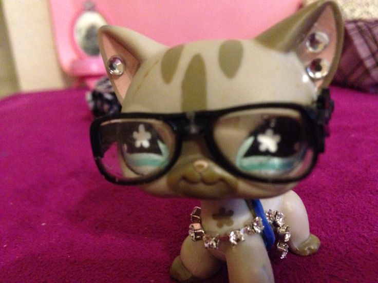 a cat with glasses sitting on top of a pink bed next to a stuffed animal