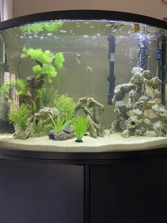 an aquarium with rocks, plants and water in the bottom half is shown on top of a black cabinet