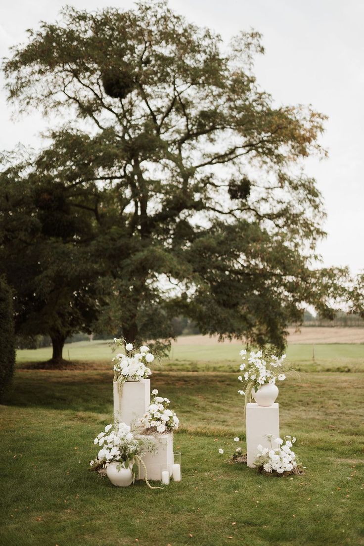 two white wedding cakes sitting on top of a lush green field next to a tree