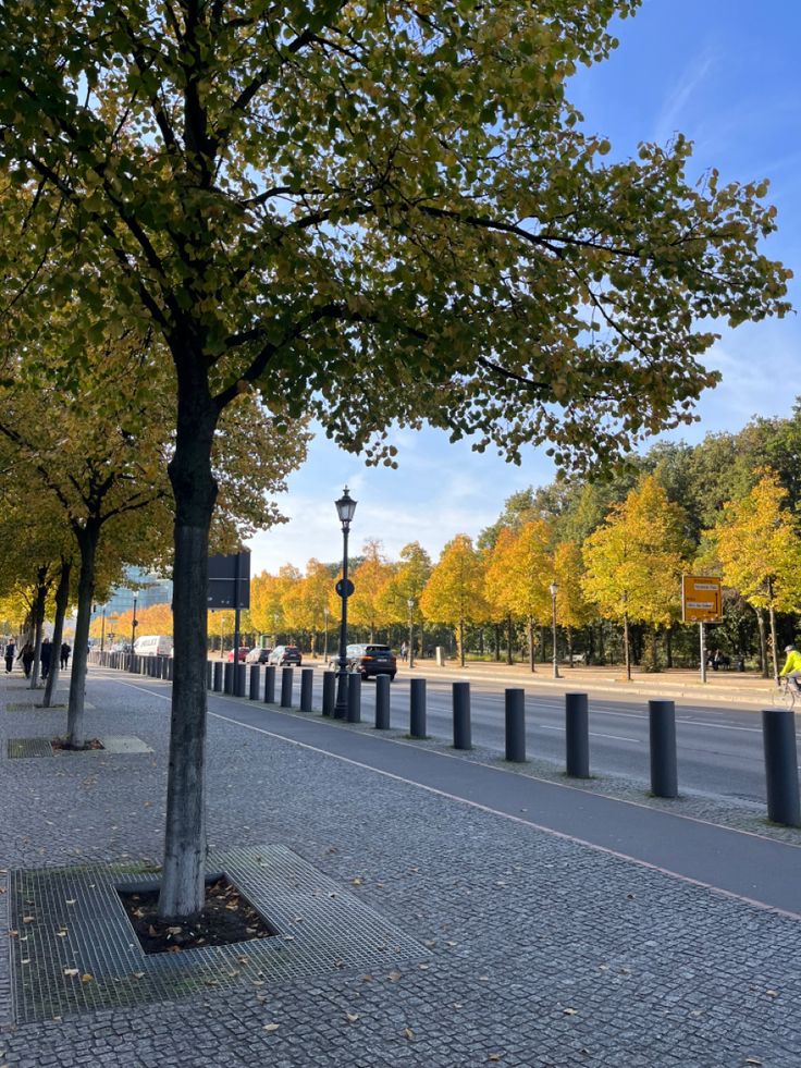 a street lined with trees next to a sidewalk