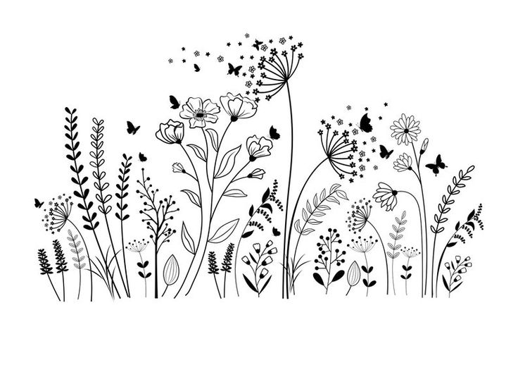 black and white drawing of flowers with butterflies