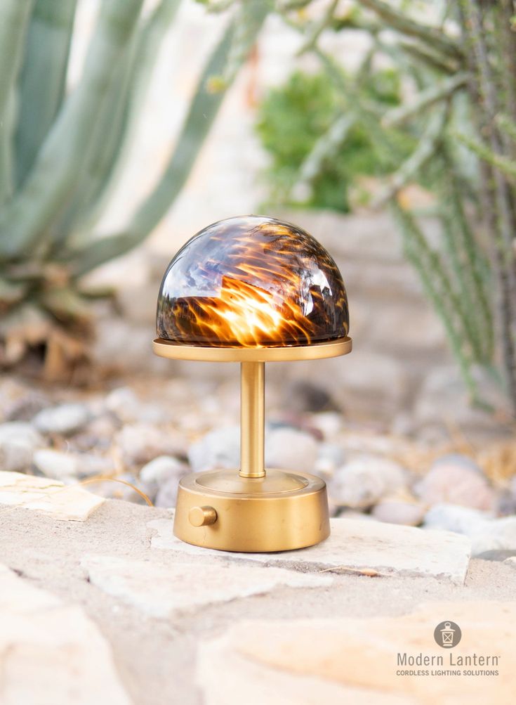 a small table lamp sitting on top of a rock covered ground next to a cactus