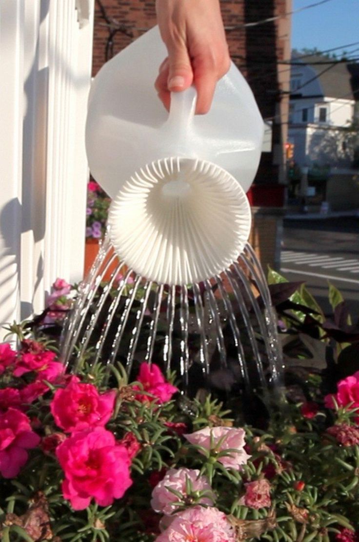 a hand is pouring water into a flower pot