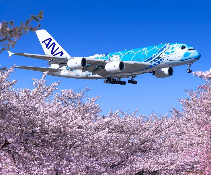 an airplane is flying over some trees with pink flowers on it's sides and blue sky in the background