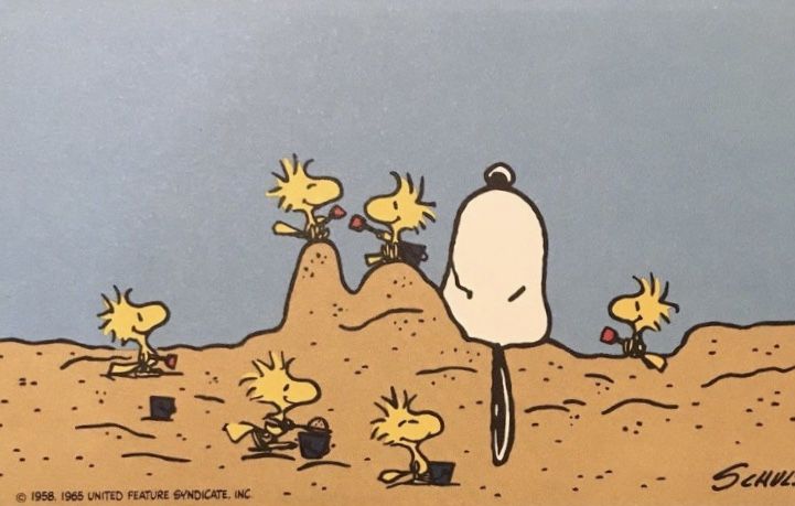 a cartoon scene with birds and plants in the desert, one bird has its head on top of another plant