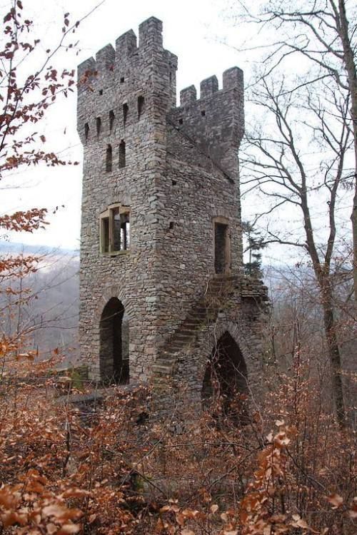 an old stone castle in the woods surrounded by trees and bushes with leaves on the ground