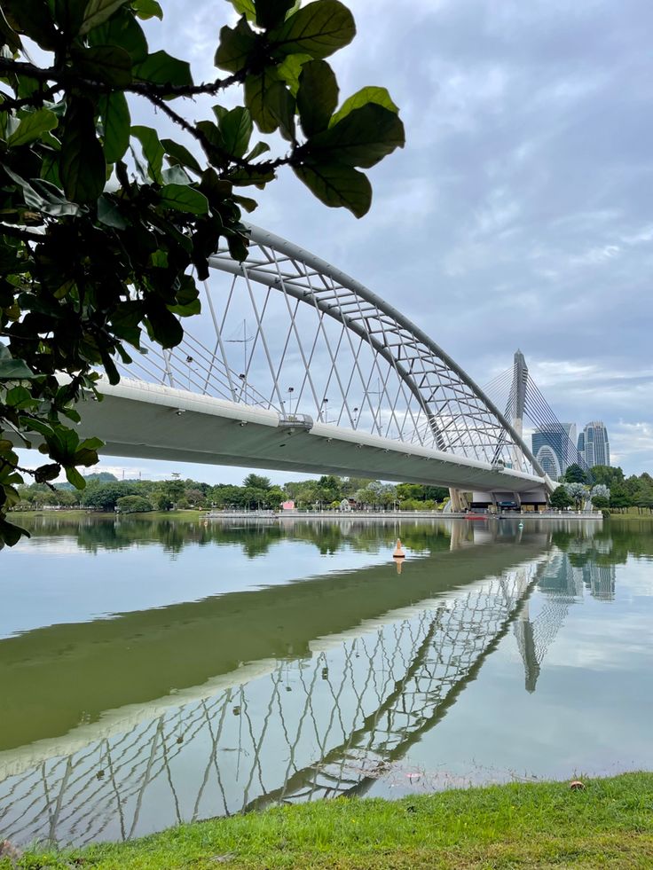 a large bridge over a river next to a lush green field