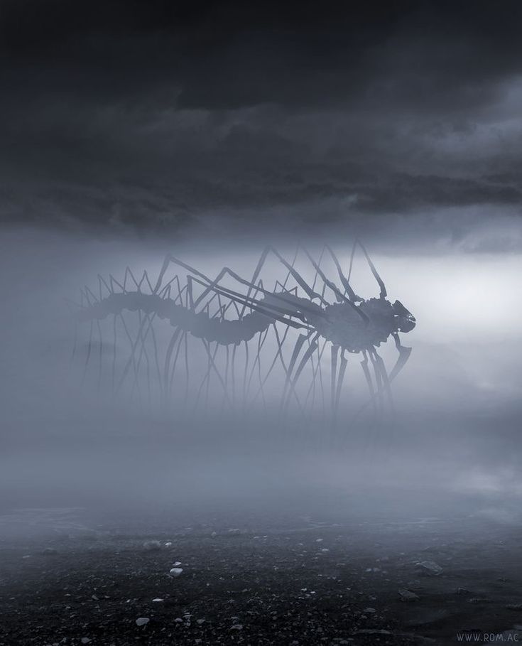 an image of a giant grasshopper in the middle of foggy water with dark clouds