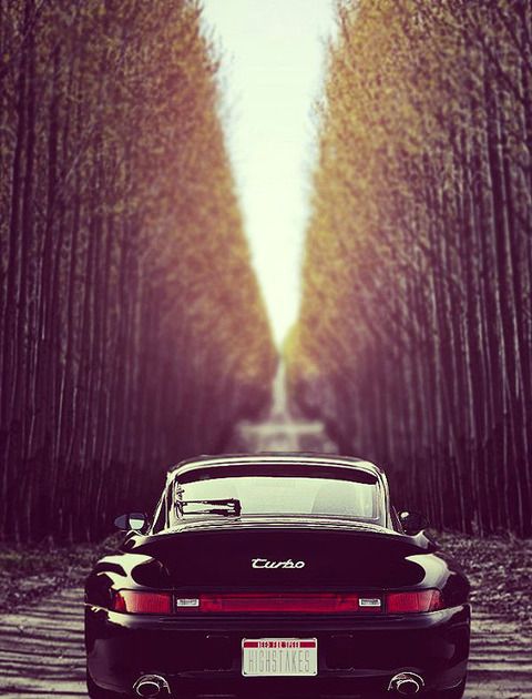 a black sports car parked on the side of a road in front of tall trees