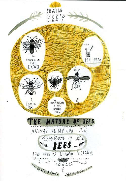 the nature of bees is depicted in this illustration