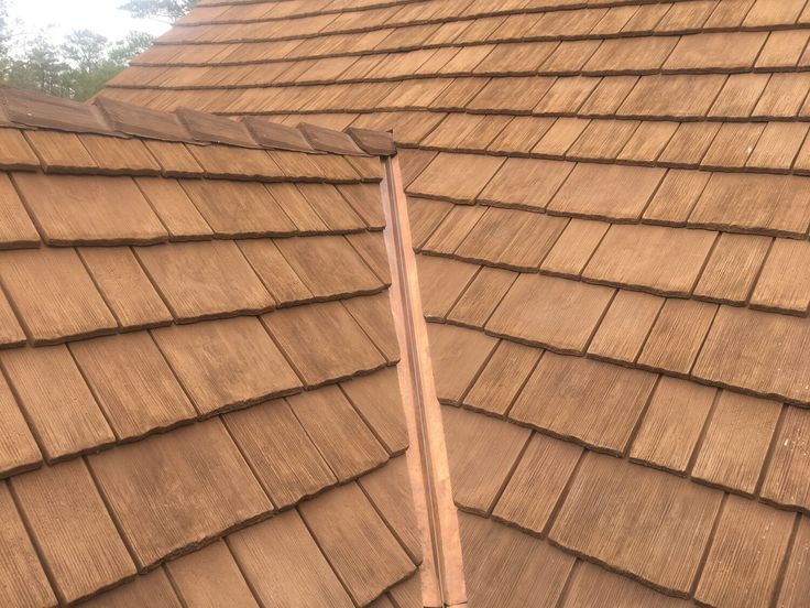 a cat is sitting on the roof of a house