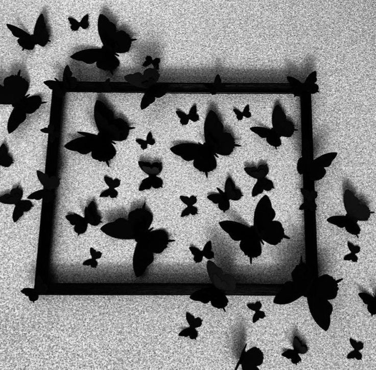 black and white photograph of many butterflies flying in the air over a square shaped frame