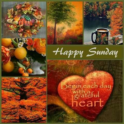 happy sunday with an orange heart, coffee mug and autumn leaves on the tree in the background