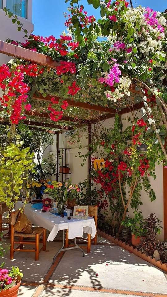 an outdoor dining area with potted plants and flowers