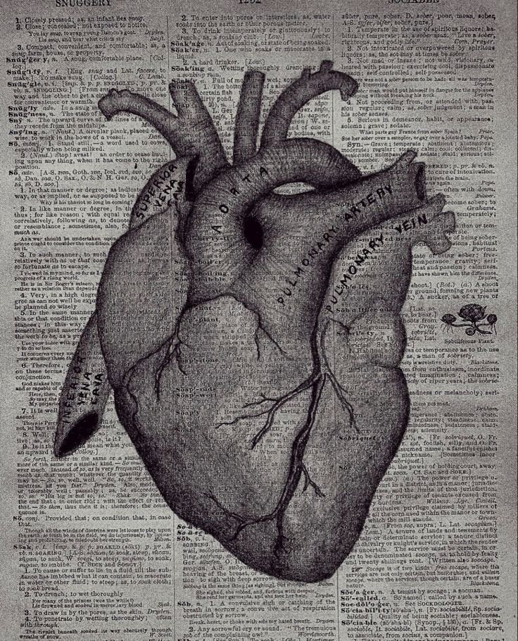 an old book page with a drawing of a human heart