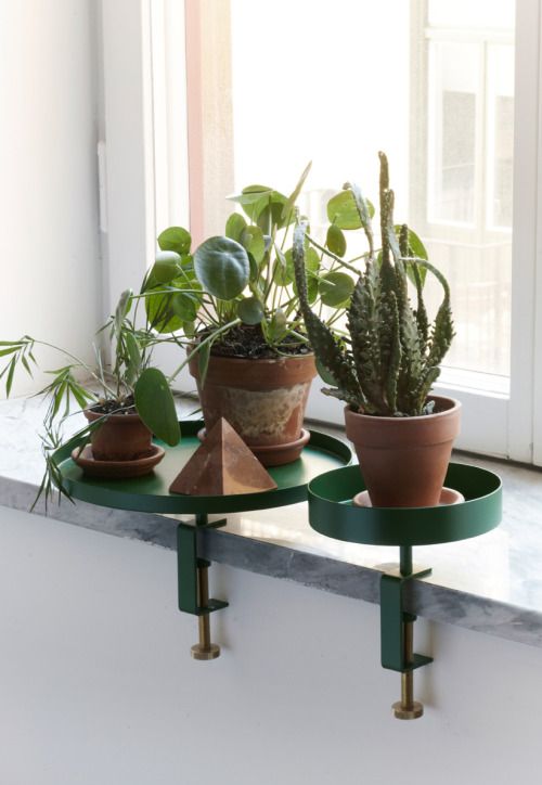 three potted plants sit on top of a green table in front of a window