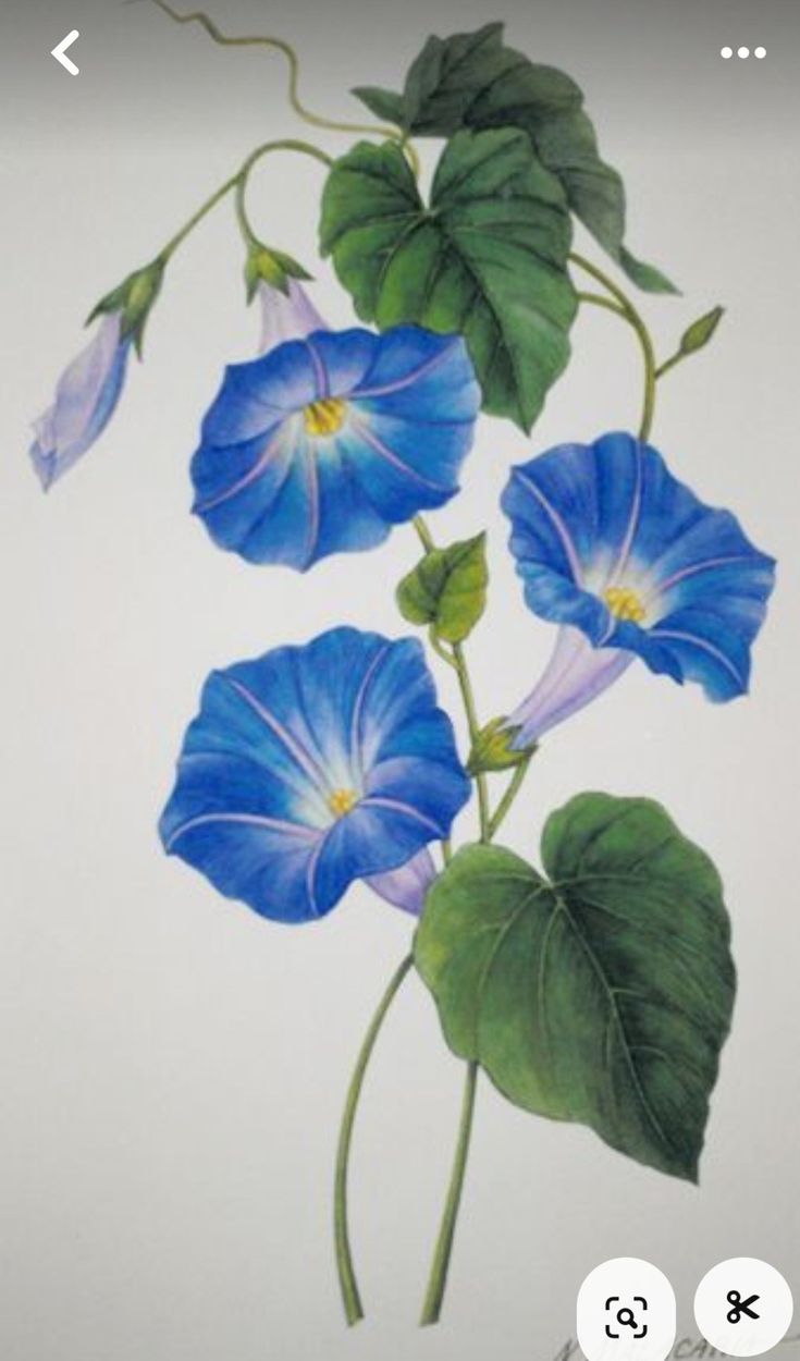 a painting of blue flowers with green leaves