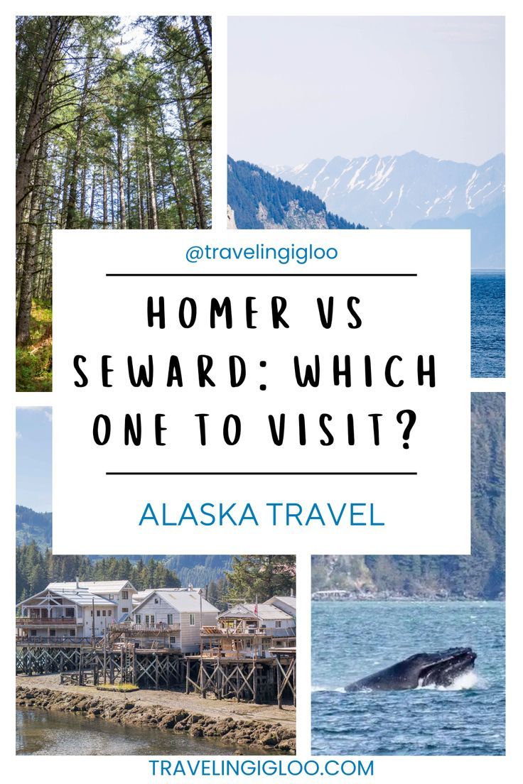 seward or homer, alaska Alaska Bucket List, Alaska Travel Guide, Alaska Summer, Alaska Road Trip, Halibut Fishing, Homer Alaska, Seward Alaska, Road Trip Ideas, Visit Alaska