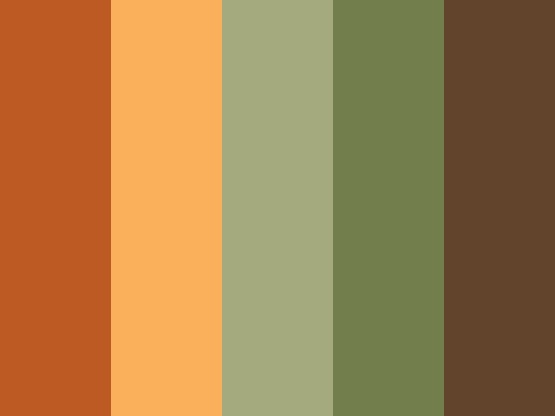 an orange and brown color scheme with different shades