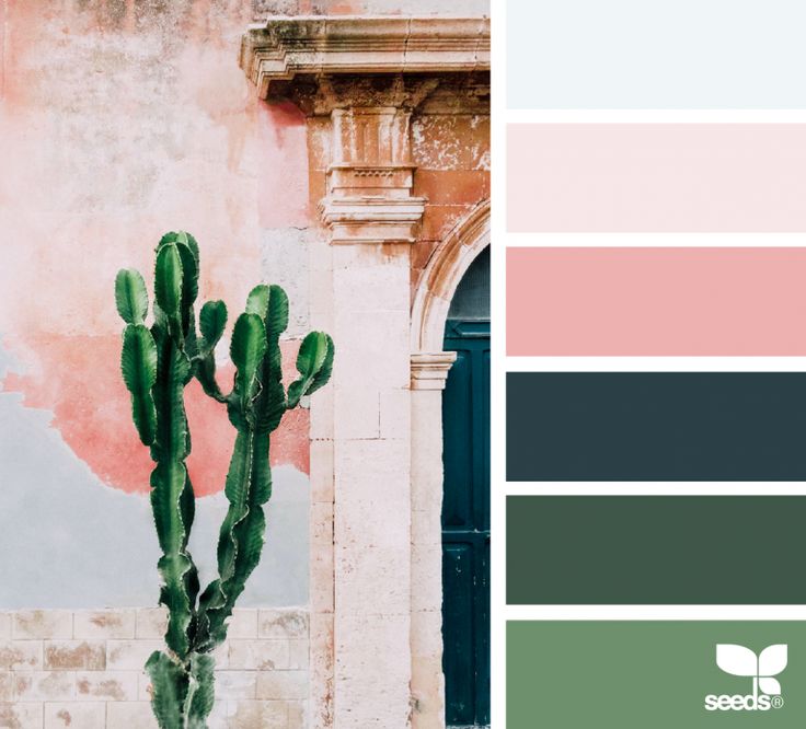 an image of a cactus plant in front of a building with pink and green colors