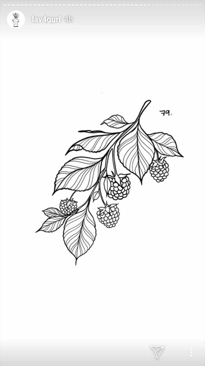 a black and white drawing of berries on a branch