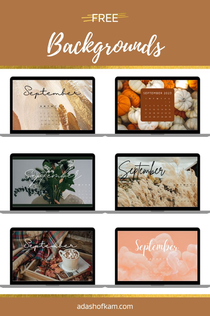 four different images with the words free backgrounds on them, including pumpkins and other autumn