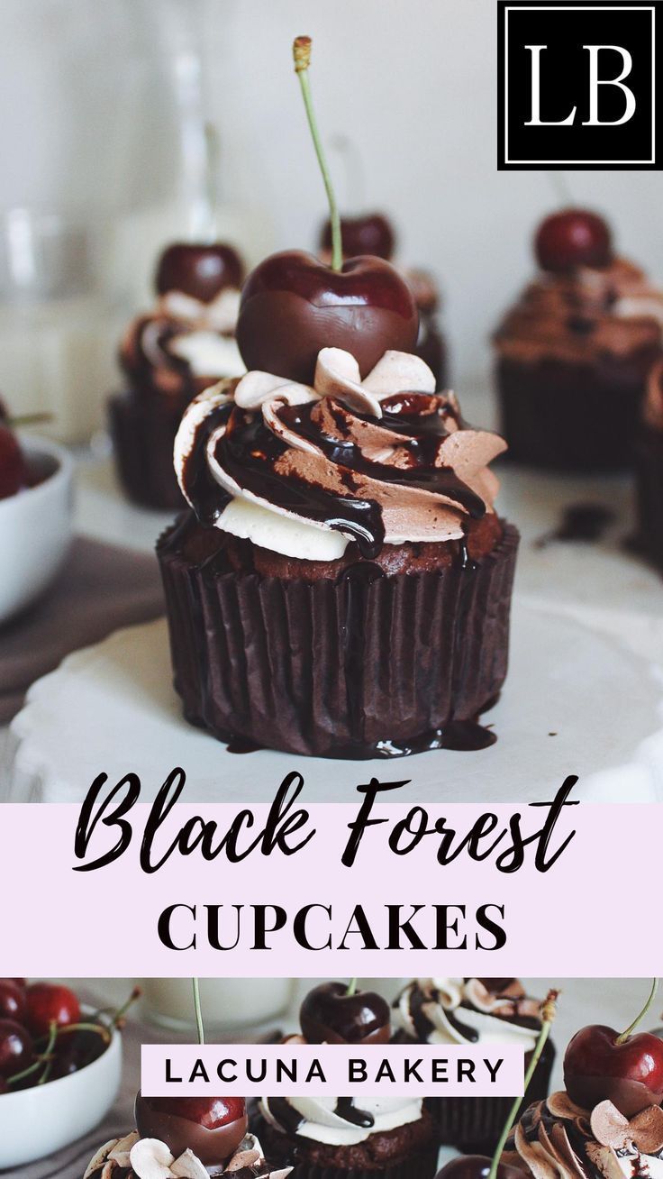 black forest cupcakes with chocolate frosting and cherries