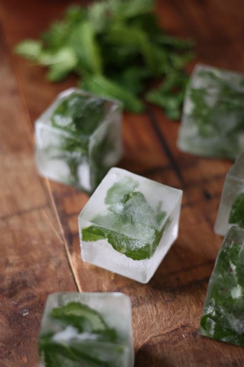 some ice cubes with green leaves on them