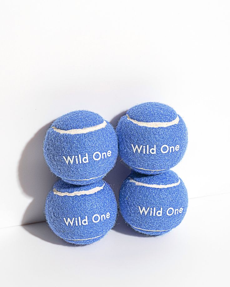 four blue tennis balls with wild one written on them sitting in front of a white wall