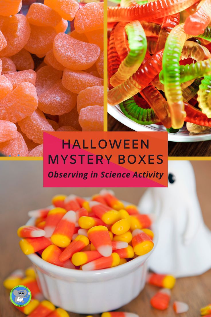 halloween mystery boxes and candy in science activity with text overlay that reads, halloween mystery boxes observing in science activity