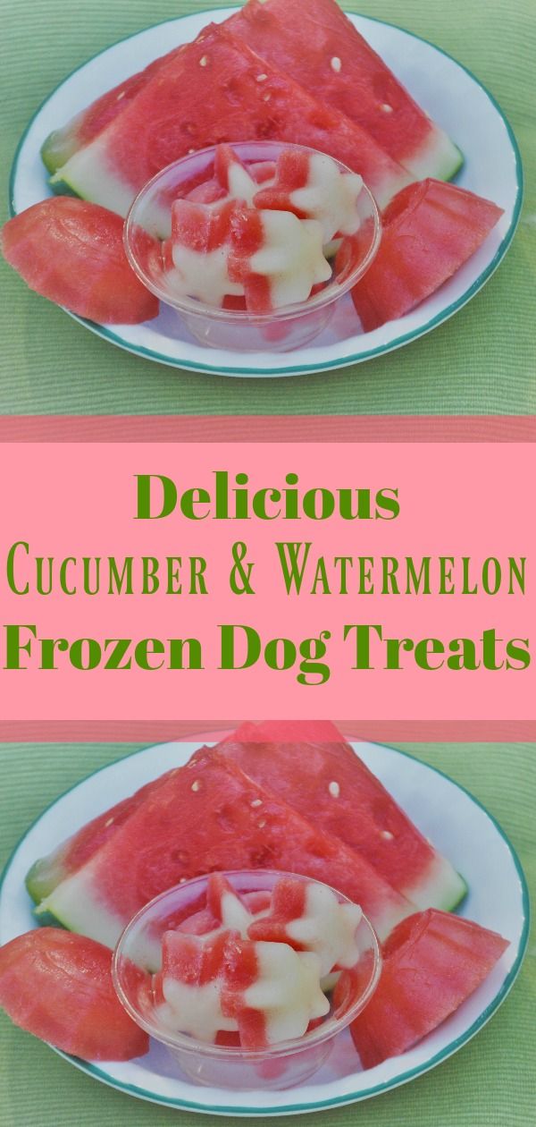 watermelon, cucumber and watermelon frozen dog treats on a plate