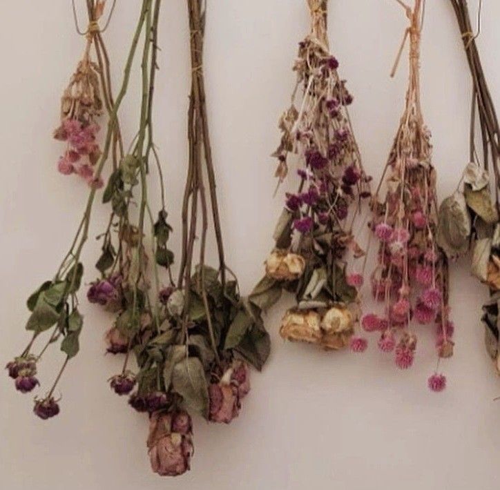 dried flowers hang from hooks on a wall