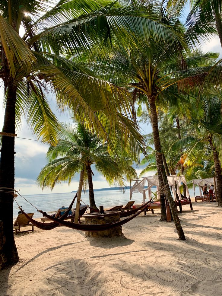 a hammock between palm trees on the beach