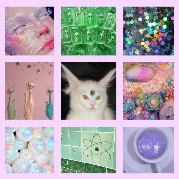 there are many different pictures with cats and other things in the background, including soap bubbles