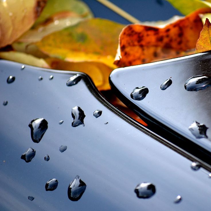 water drops on the surface of a metal object with autumn leaves in the foreground