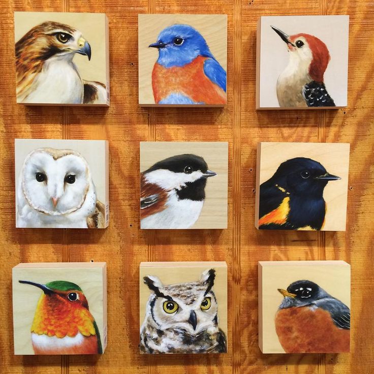 six paintings of different birds on wood with one bird looking at the camera and four owls