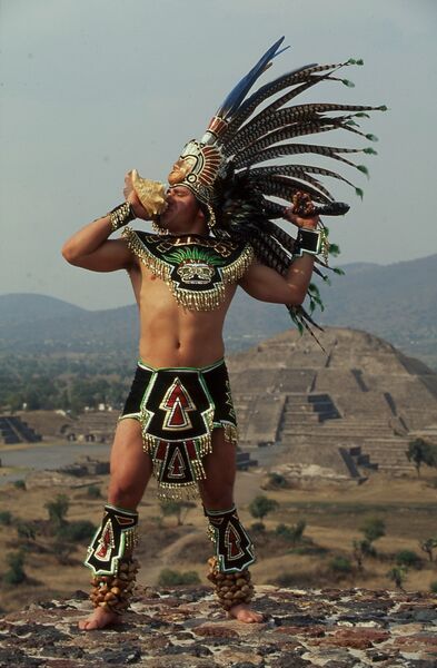 a man wearing an elaborate headdress standing on top of a hill