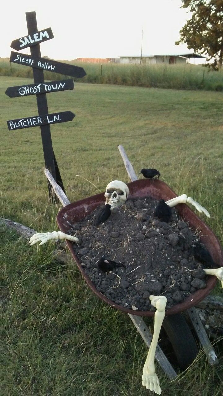 a wheelbarrow filled with dirt and skulls sitting on top of a lush green field