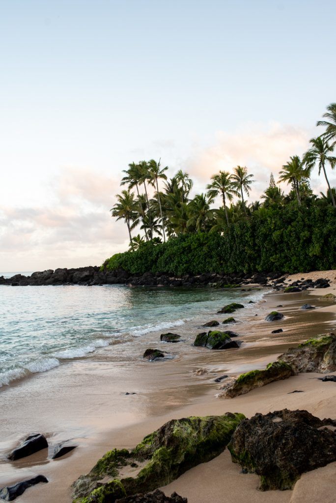 a sandy beach next to the ocean with palm trees in the background and rocks on the shore