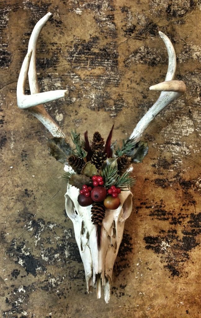 a deer skull with antlers, pine cones and berries on it's head