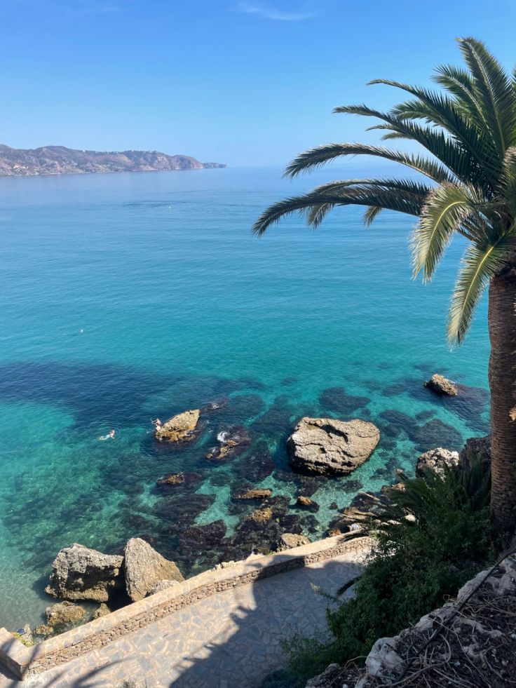 a palm tree sitting on the side of a cliff next to the ocean with clear blue water