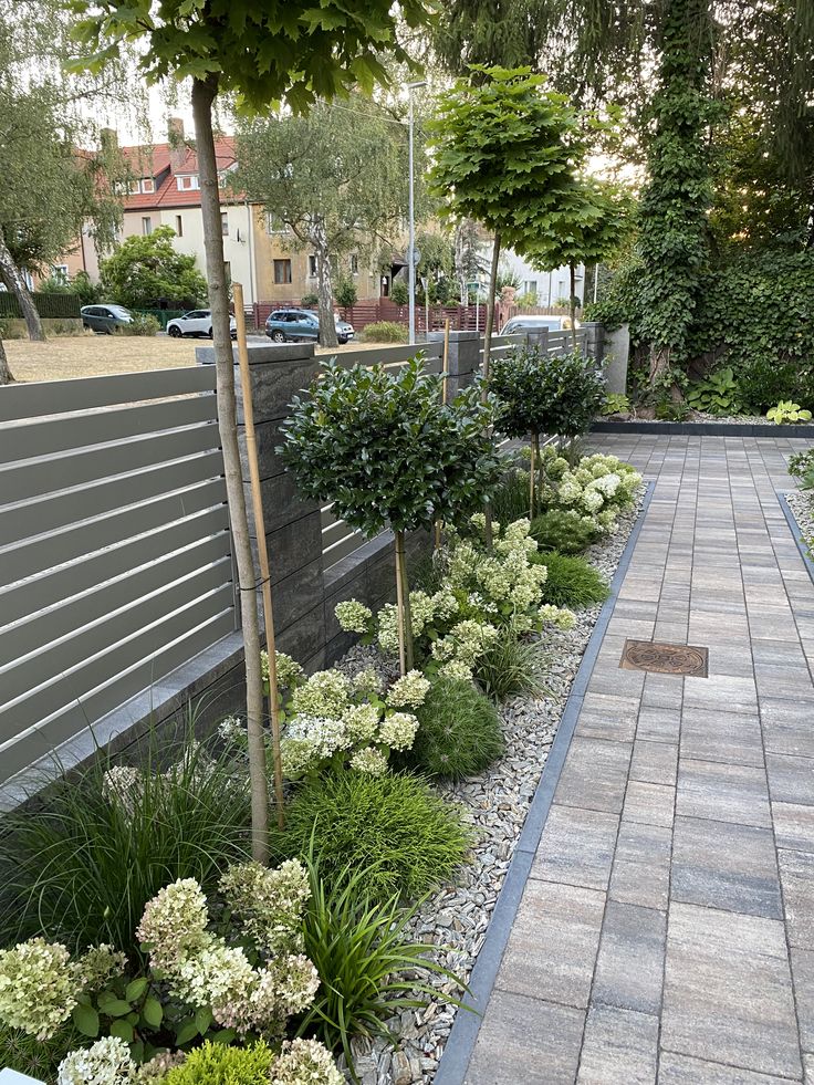 a walkway is lined with white flowers and greenery