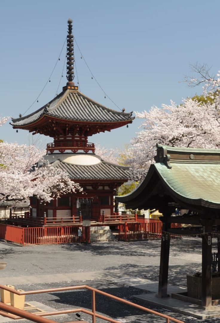 the pagoda is surrounded by cherry blossom trees