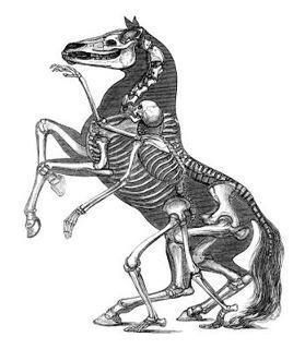 a skeleton horse standing on its hind legs and holding the back end of it's head