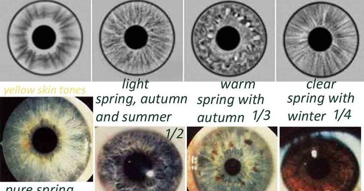 Eyes Iris, Spring Eyes, Eye Types, Season Analysis, Summer Skin Tone, Soft Autumn Deep, Fashion Course, True Autumn, Soft Summer Colors