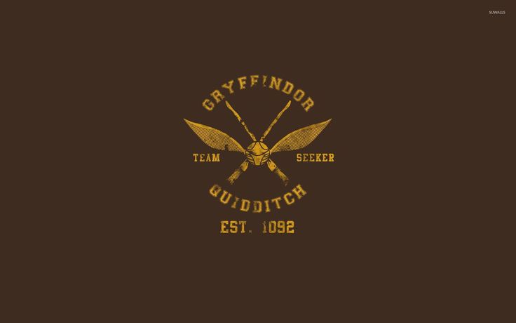 the logo for greyfindor quidditch, which has two crossed swords on it