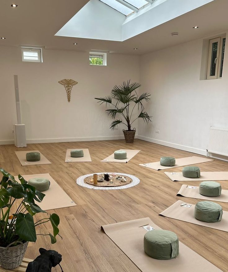 there are many yoga mats on the floor in this room with a potted plant